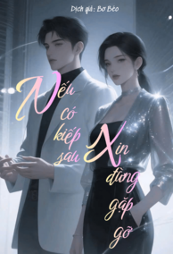 Nếu Có Kiếp Sau, Xin Đừng Gặp Gỡ